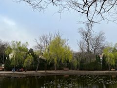 -八大关景区
