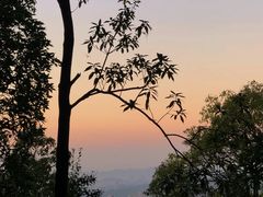 -阳台山森林公园