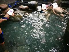 -青城道汤池