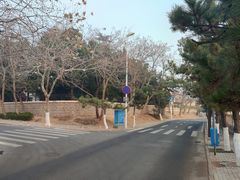 -青岛第三海水浴场