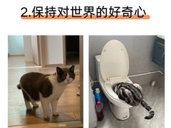 -达爱动物医院·犬猫分区·CT·复杂眼科(远洋山水分院)