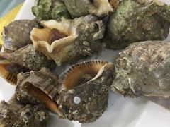 -四海蒸鲜蒸汽海鲜自助(北戴河店)