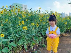 -二沙岛艺术公园