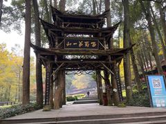 -青城山