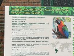 -石排湾郊野公园