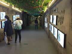 -青岛葡萄酒博物馆