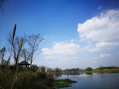 -中国天府农业博览园