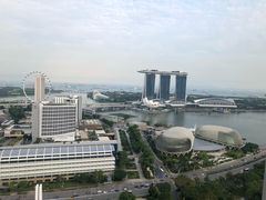 -新加坡瑞士史丹福酒店