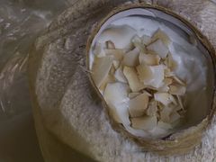 -志龙皇冠吃货椰子铺