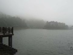-庐山风景区花径公园