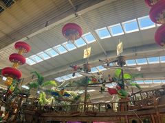 -南宫五洲植物乐园