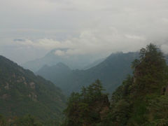 android_upload_pic-大明山自然探索公园