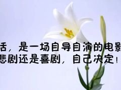 -合和大唐足道·泰式·SPA (凤城五路店)