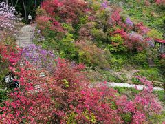 -岳西天峡风景区