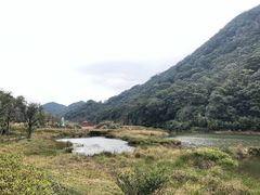 -广州市石门国家森林公园