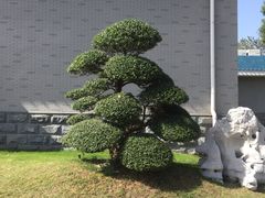 -云幽谷旅游区