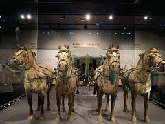 -秦始皇帝陵博物院-丽山园