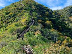 -大岭沟猕猴桃谷风景区