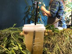 -茶力的小怪兽(梅林卓悦汇店)
