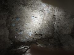 -中国西峡恐龙遗迹园