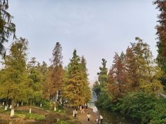 -重庆彩云湖湿地公园