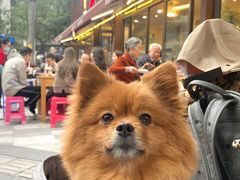 -飘香火锅(玉林西路店)