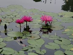 -国家植物园南园