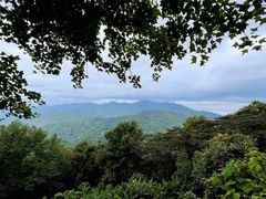 -广州市石门国家森林公园