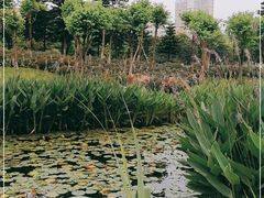 -映月湖公园
