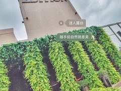 -顶层酒吧ROOF(上海艾迪逊酒店)