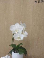 -广东韩妃整形外科医院