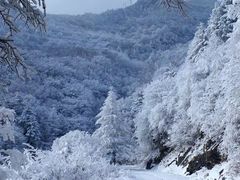 -秦岭风景区