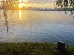 -艾溪湖湿地公园
