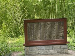 -黄海国家森林公园