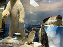 -国家自然博物馆