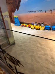 -卡通尼·Safari非洲探索乐园·生日会(金桥国际商业广场店)