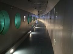 -白鹤梁水下博物馆