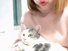 -喵的天空名猫咖啡馆·撸猫·猫舍·用品