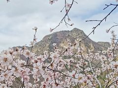 -圣莲山风景区