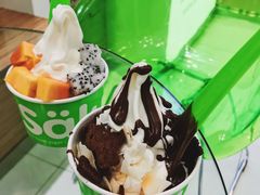 -Salud撒露欧洲冻酸奶(蓝色港湾店)