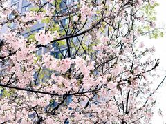 -宁波东港喜来登酒店