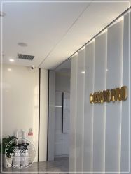 -COSMO PRO造型