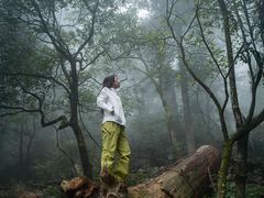 -天目山大树王景区