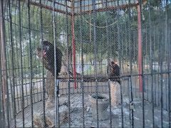 -长白岛森林公园