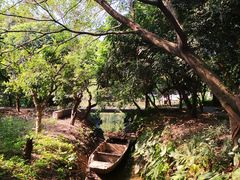 -小洲村