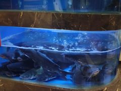 -巴特餐饮6加1音乐餐吧·新疆菜