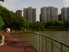 -南翔镇银翔湖公园