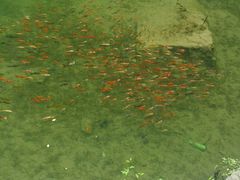 -山西通天峡景区