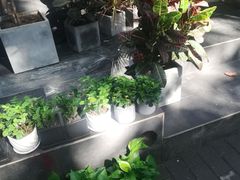 -那些花儿鲜花店(小寨店)