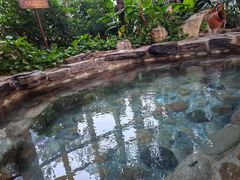 -中家鑫园温泉酒店鑫悦汤泉